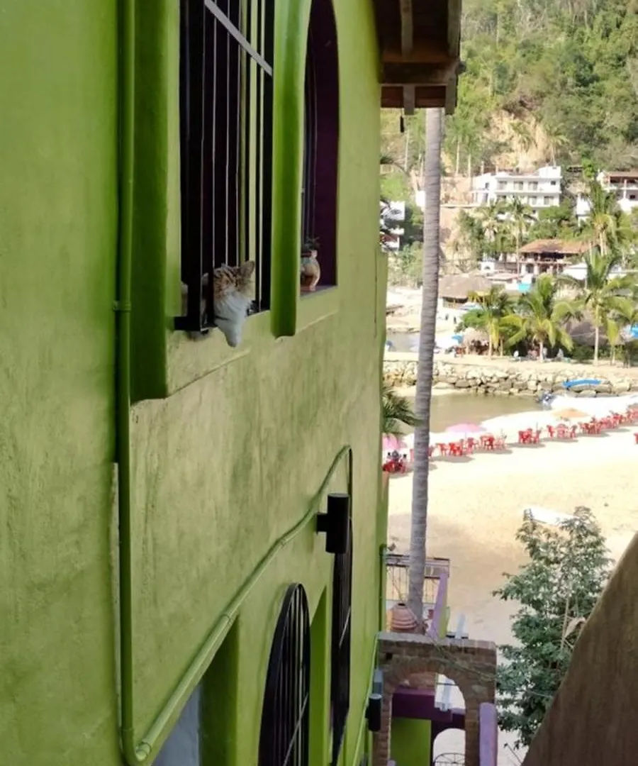 Villas Del Amor Amor Puerto Vallarta
